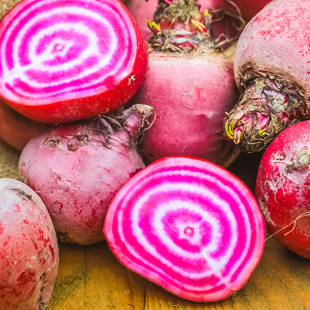 Beets – Chioggia