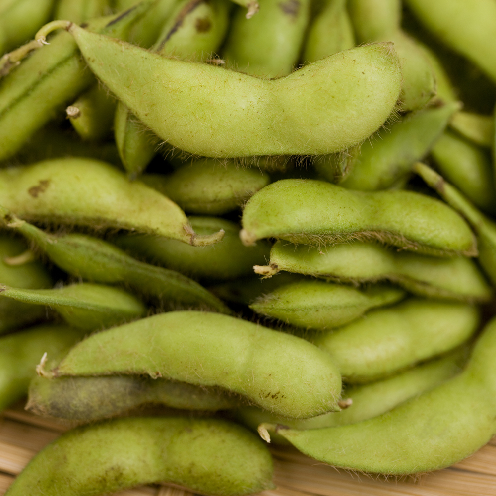 Bean Edamame – Be Sweet