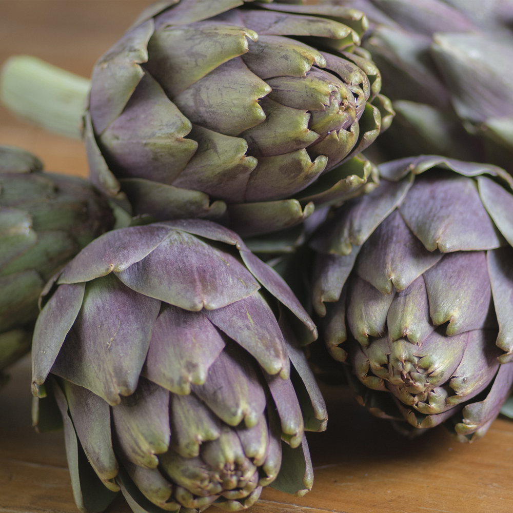 Artichoke – Green Globe