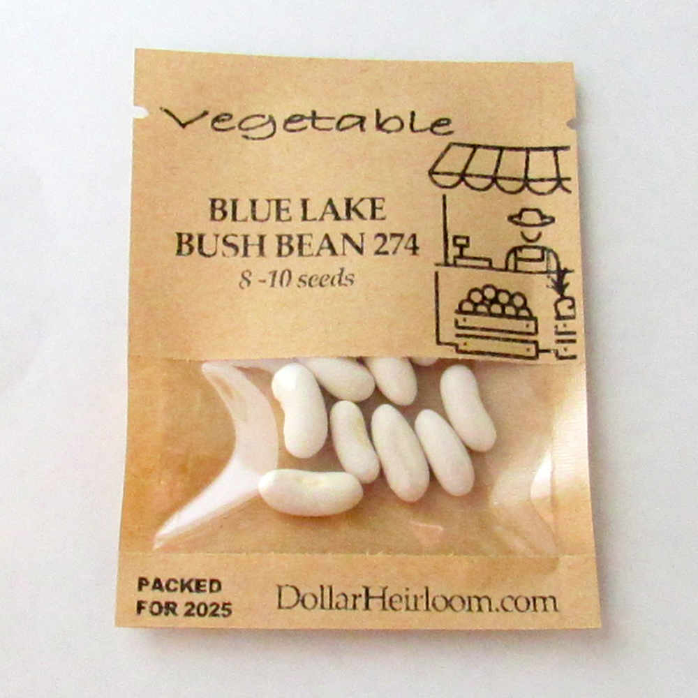 Bean Bush – Blue Lake Bush 274 (8-10 Seeds)