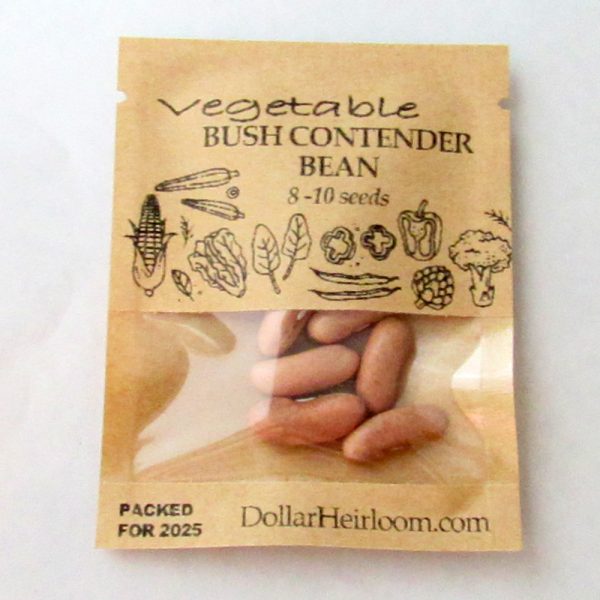 Bean Bush - Contender (8-10 Seeds)