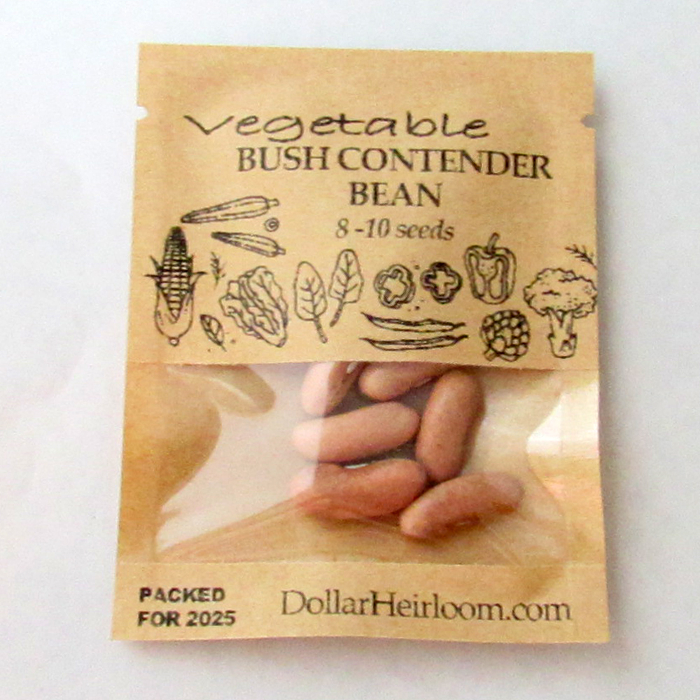 Bean Bush – Contender (8-10 Seeds)