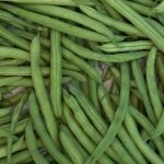 Bean Bush - Jade (8-10 Seeds)