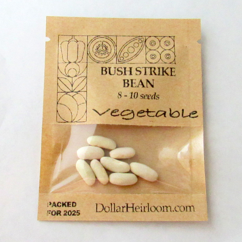 Bean Bush – Strike (8-10 Seeds)
