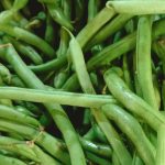 Bean Pole - Blue Lake Pole FM1K (8-10 Seeds)