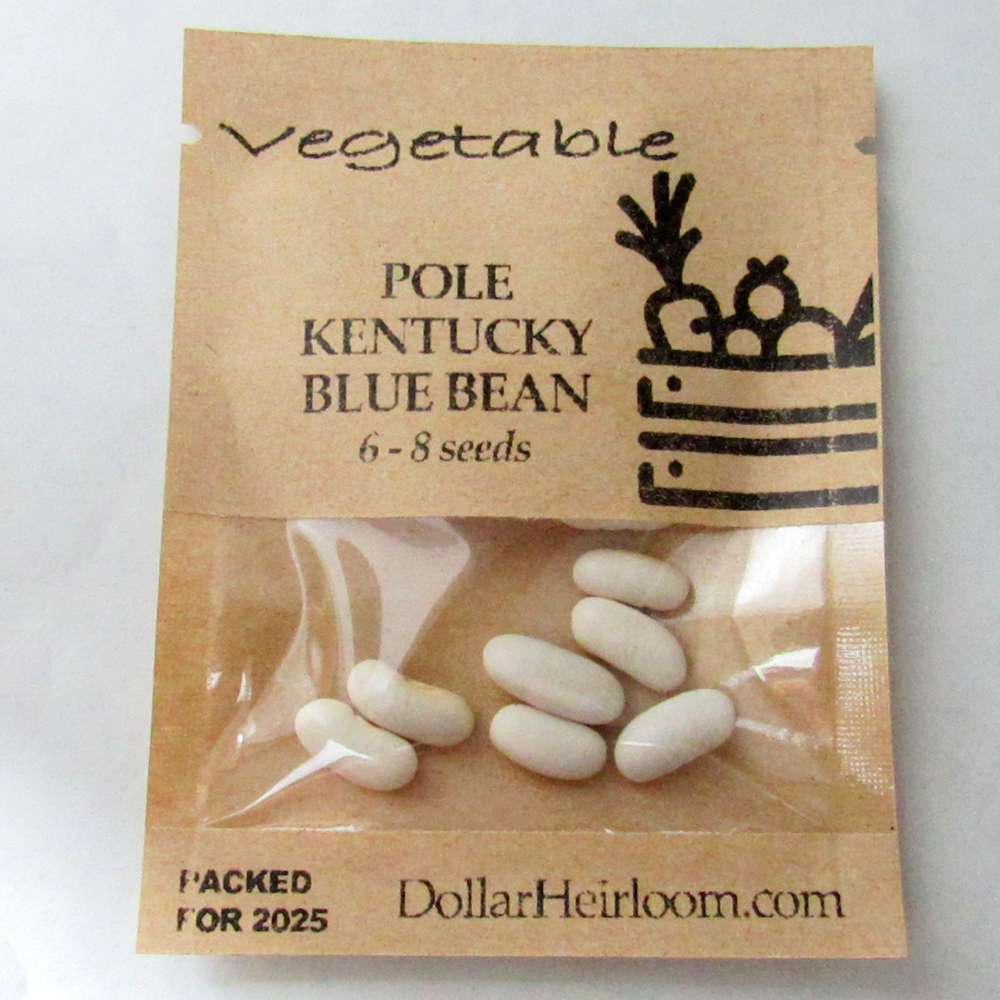 Bean Pole – Kentucky Blue (6-8 Seeds)