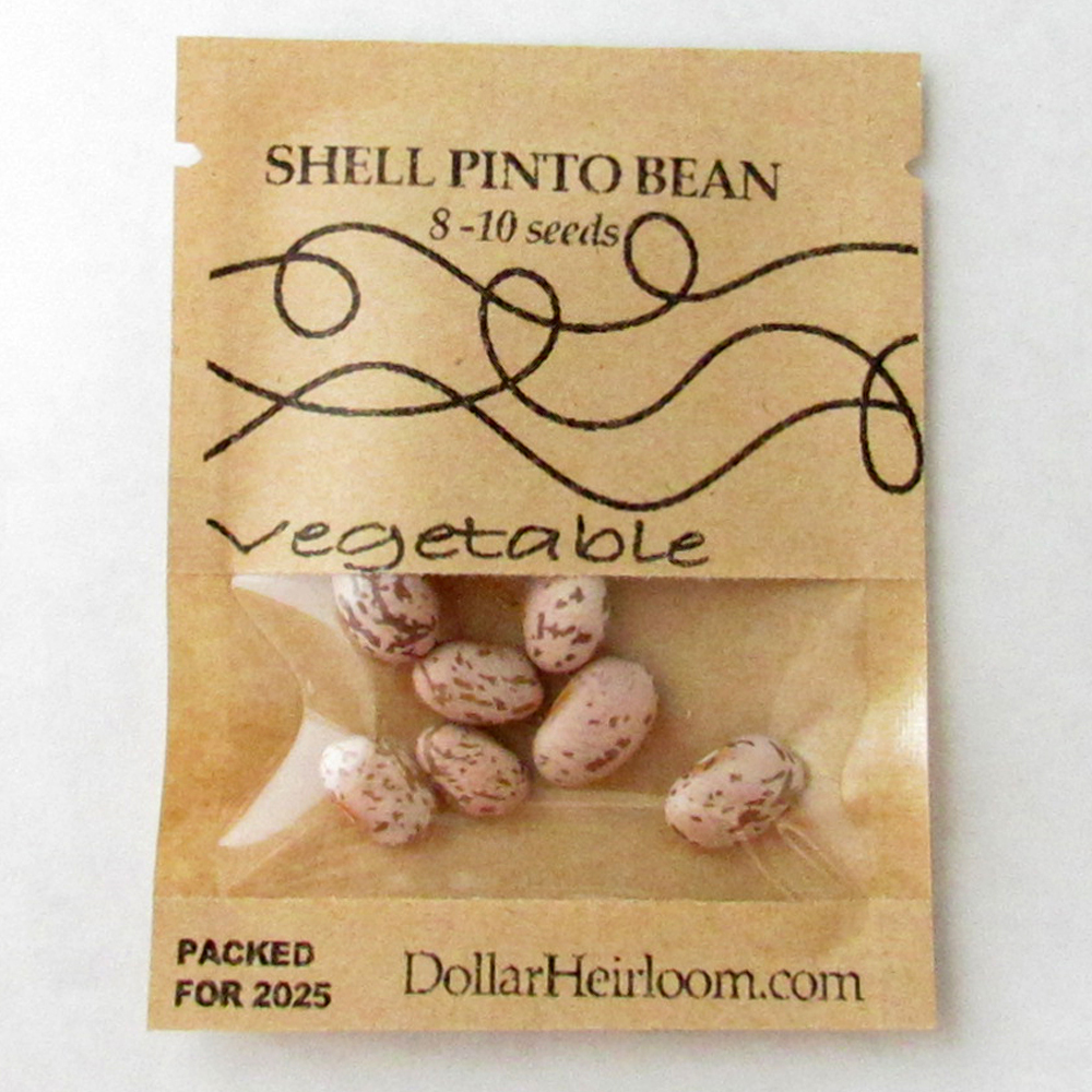 Bean Shell – Pinto (8-10 Seeds)