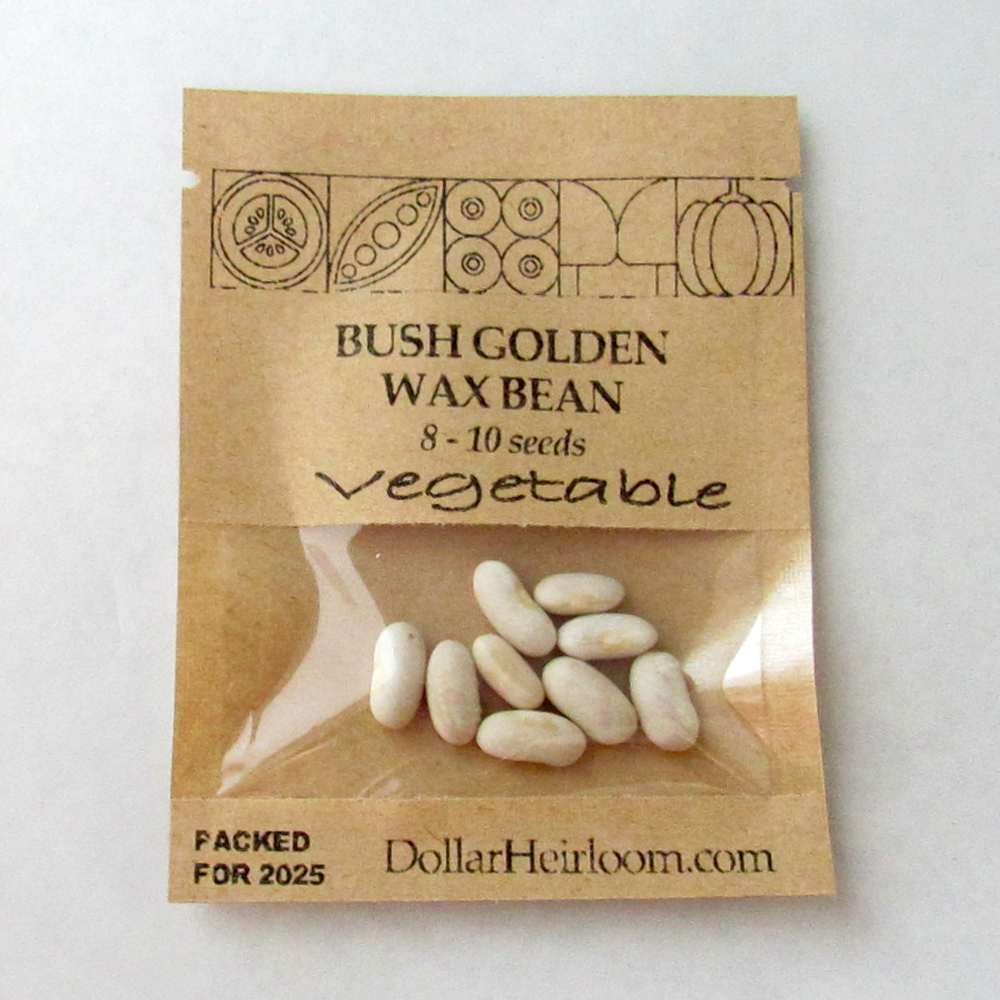 Bean Wax Bush – Top Notch Golden Wax (8-10 Seeds)