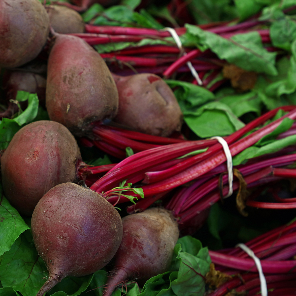 Beet – Detroit Dark Red