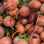 Beet - Golden Detroit (15-20 Seeds)