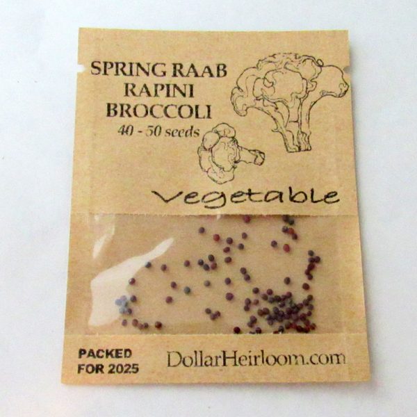 Broccoli Raab - Spring Rapini (40-50 Seeds)
