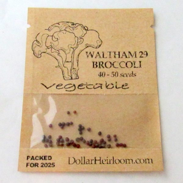 Broccoli - Waltham 29 (40-50 Seeds)