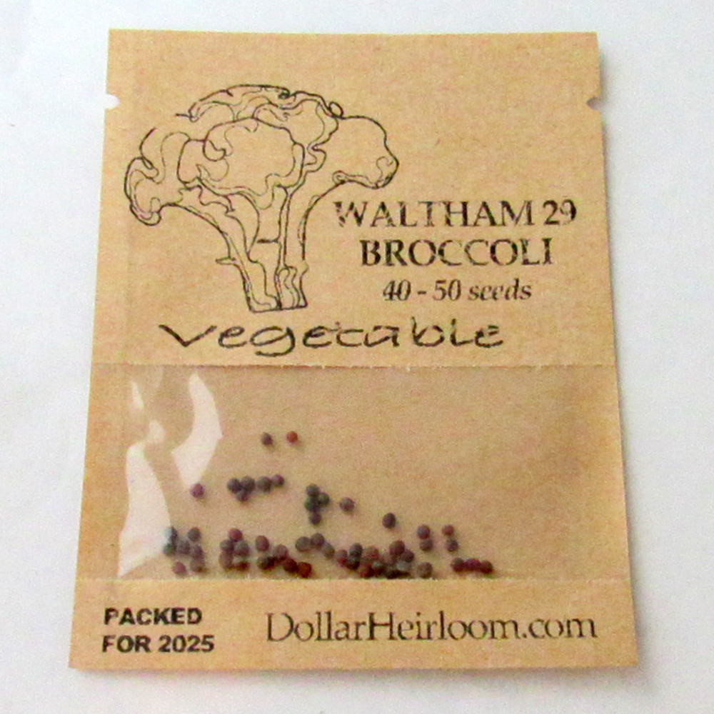 Broccoli – Waltham 29 (40-50 Seeds)