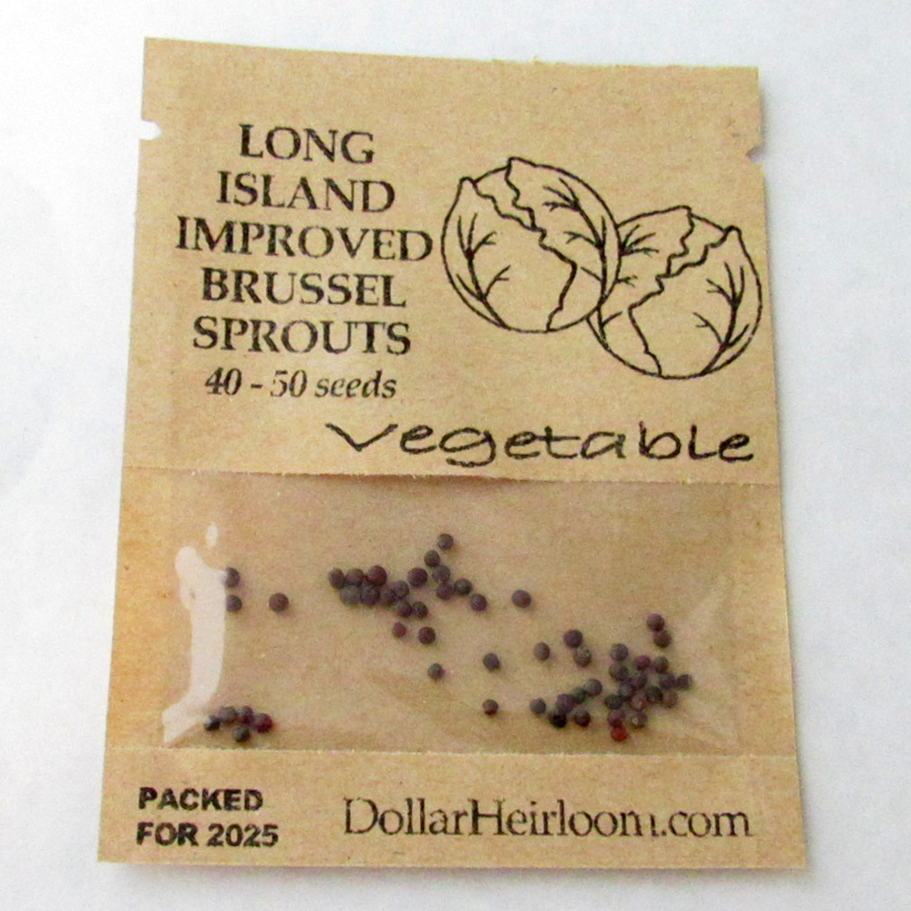 Brussels Sprouts – Long Island Improved (40-50 Seeds)