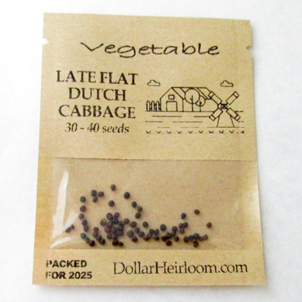 Cabbage - Late Flat Dutch (30-40 Seeds)