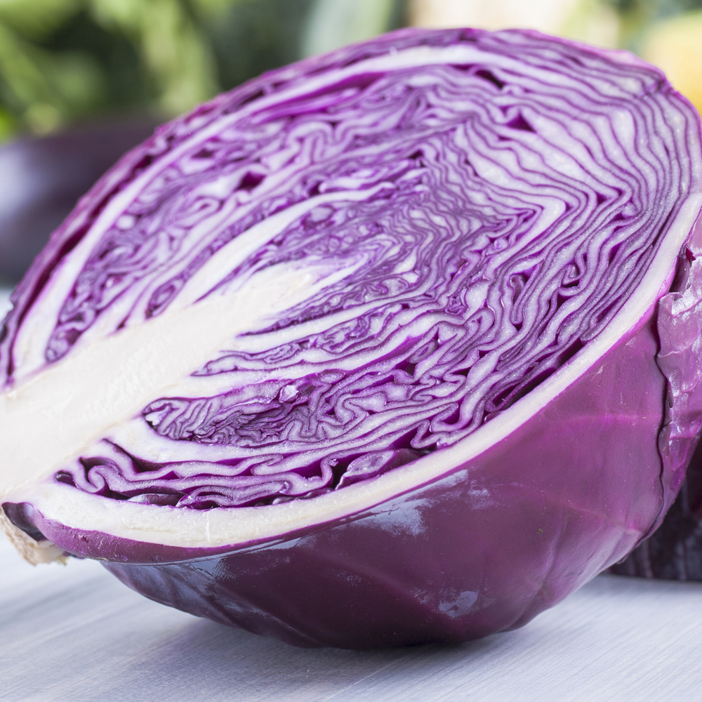 Cabbage – Mammoth Red Rock