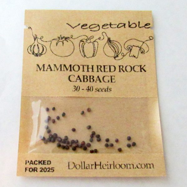 Cabbage - Mammoth Red Rock (30-40 Seeds)
