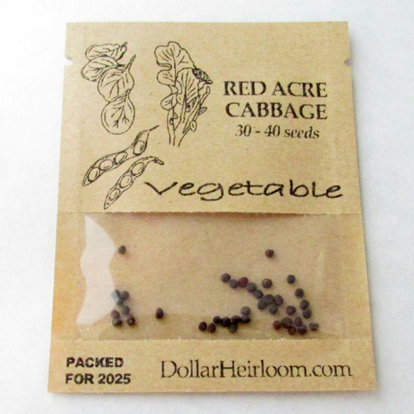 Cabbage - Red Acre (30-40 Seeds)