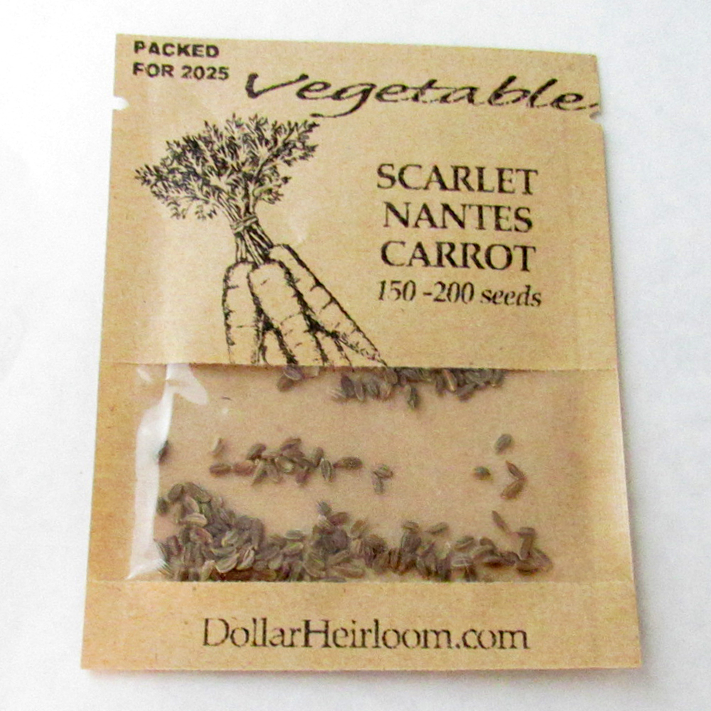 Carrot – Scarlet Nantes (150-200 Seeds)