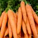Carrot - Tendersweet (150-200 Seeds)