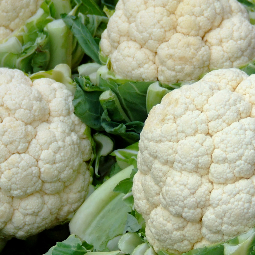 Cauliflower – Snowball Y Improved