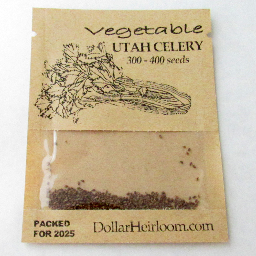 Celery – Utah 52-70 (300-400 Seeds)