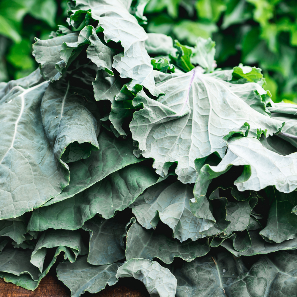 Collards – Georgia Southern