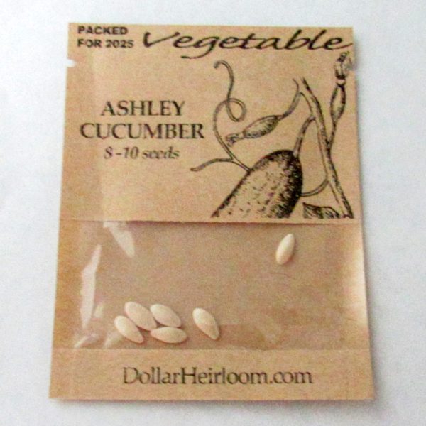 Cucumber - Ashley (8-10 Seeds)