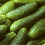 Cucumber - Muncher (8-10 Seeds)