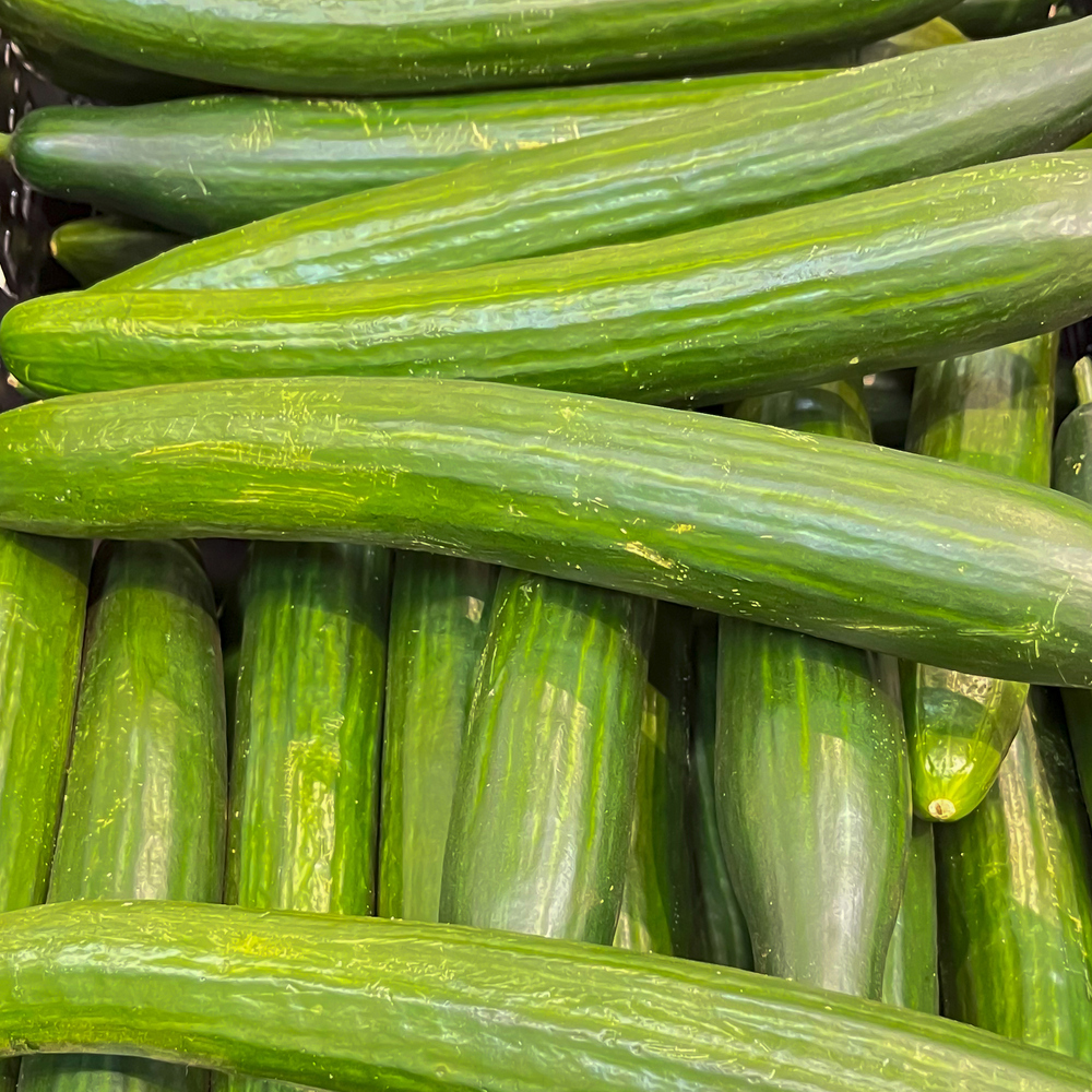 Cucumber – Tendergreen Burpless