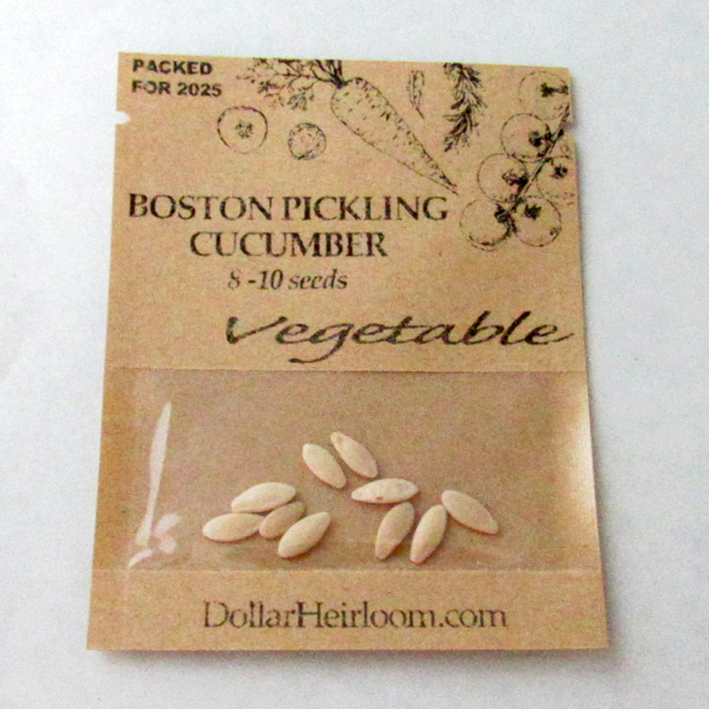 Cucumber Pickling – Boston Pickling (8-10 Seeds)