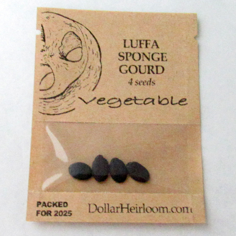 Gourds – Luffa Sponge (4 Seeds)