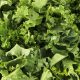 Kale - Premier (30-40 Seeds)