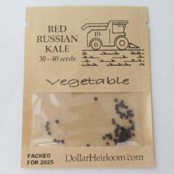 Kale - Red Russian (30-40 Seeds)