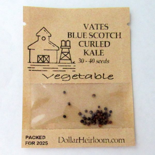 Kale - Vates Blue Scotch Curled (30-40 Seeds)