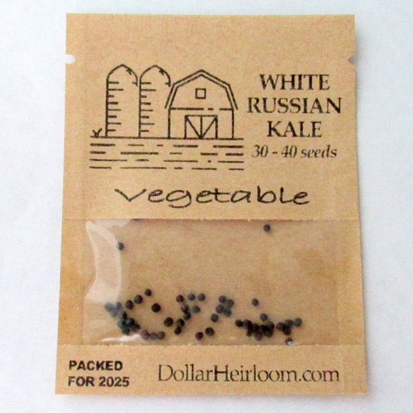 Kale - White Russian  (30-40 Seeds)