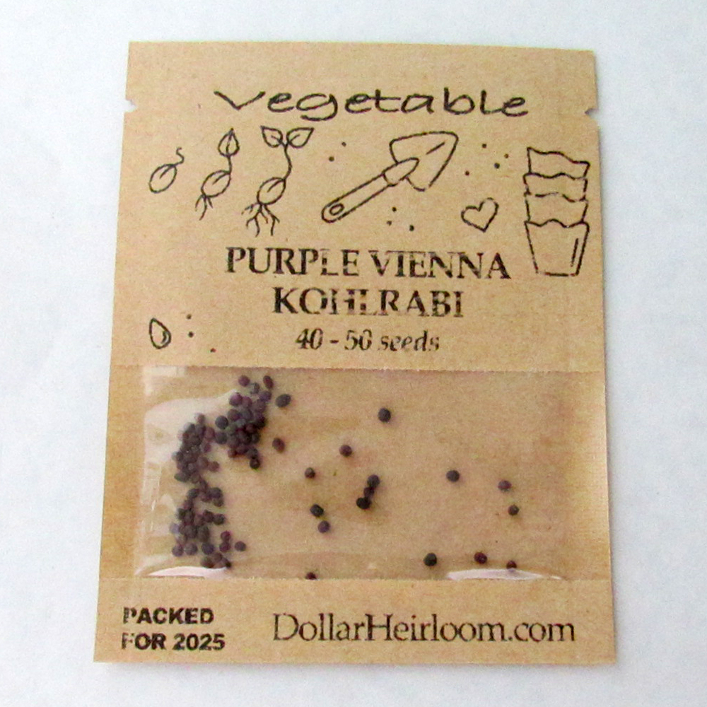 Kohlrabi – Purple Vienna (40-50 Seeds)