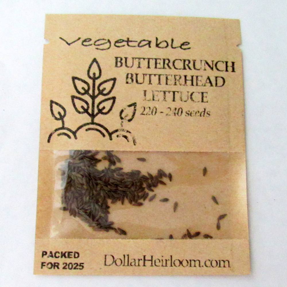 Lettuce – Butterhead – Buttercrunch (220-240 Seeds)