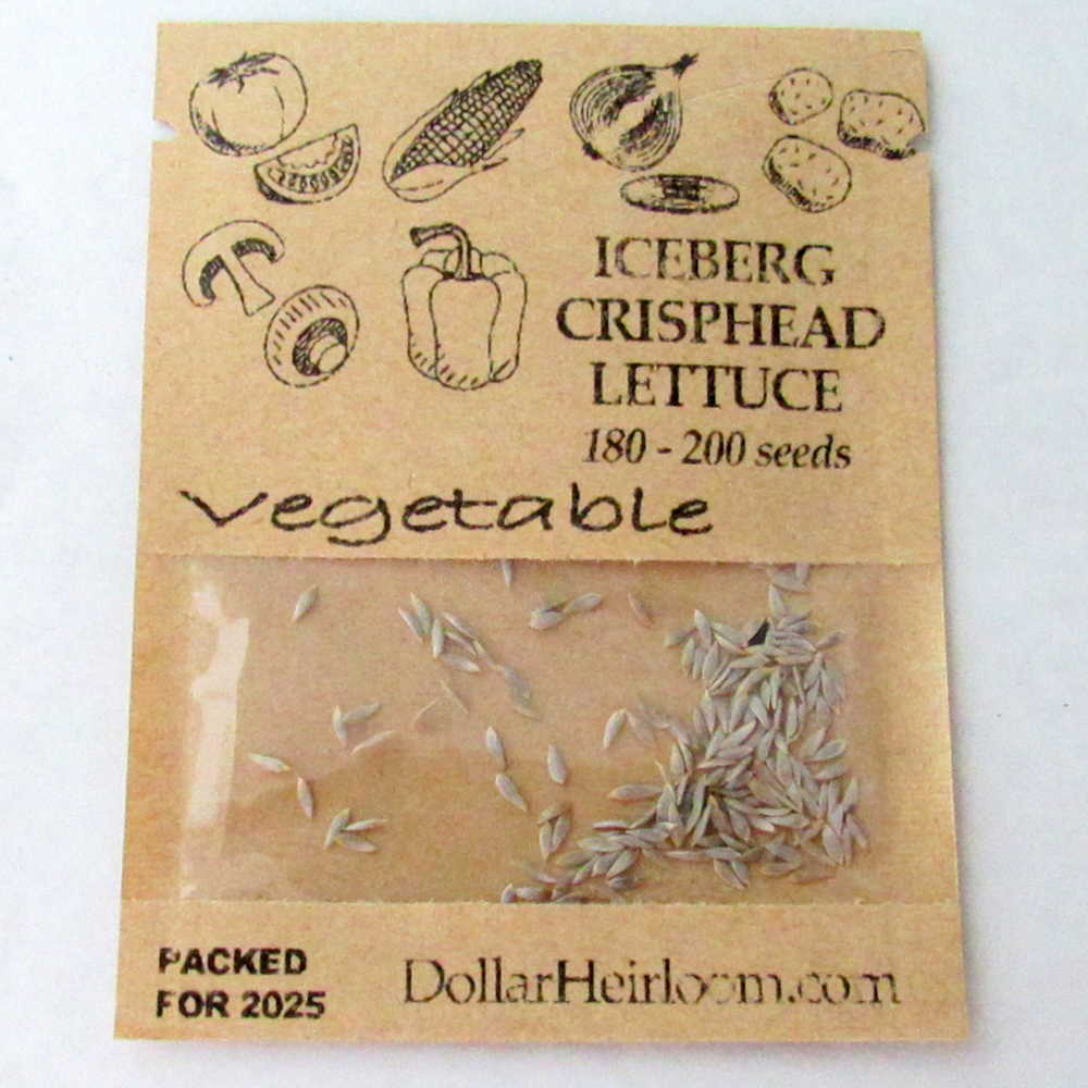Lettuce – Crisphead – Iceberg (180-200 Seeds)