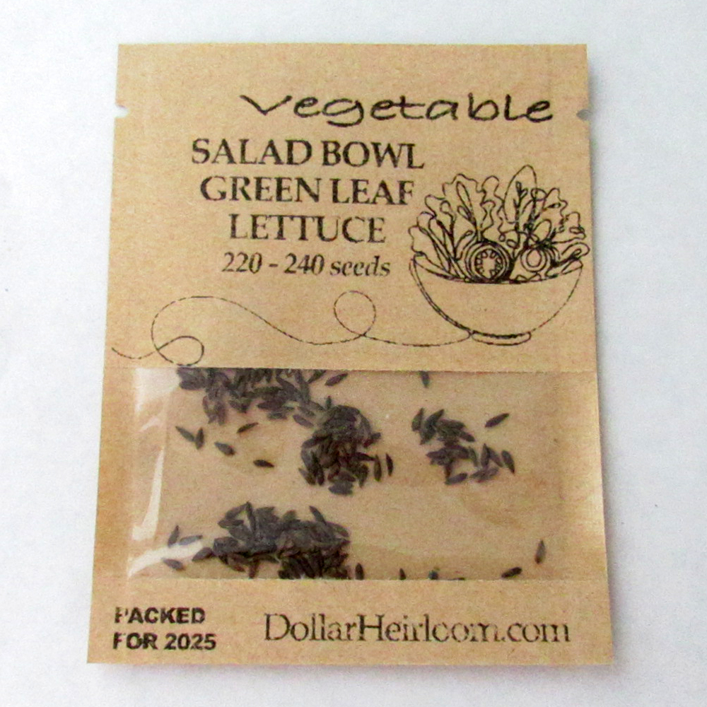 Lettuce – Leaf – Salad Bowl Green (220-240 Seeds)