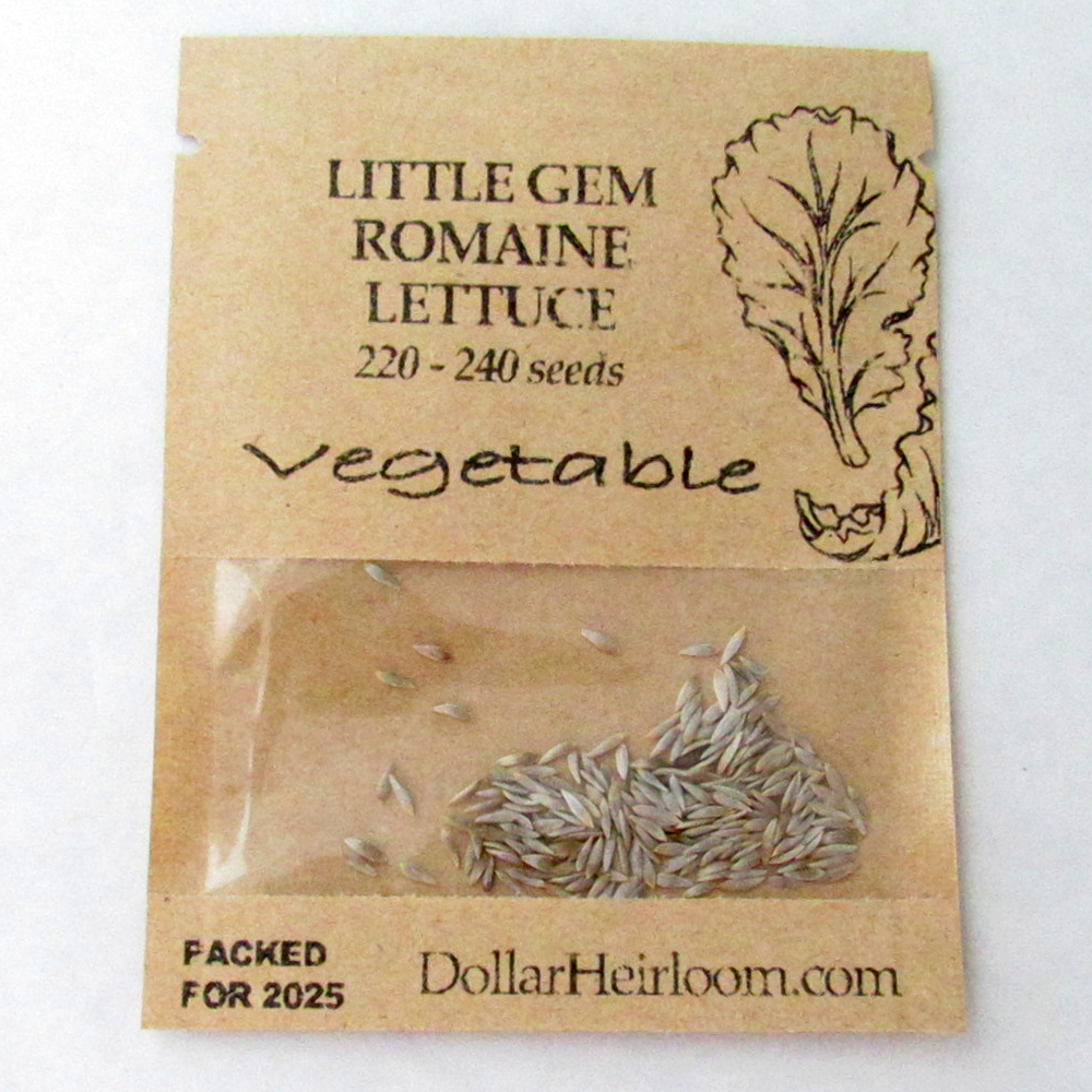 Lettuce – Romaine – Little Gem (220-240 Seeds)