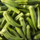 Okra - Clemson Spineless 80 (8-10 Seeds)