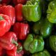 Pepper - Sweet - Keystone Resistant Giant (14-16 Seeds)