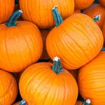 Pumpkin - Howden (6 Seeds)