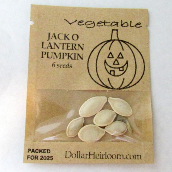 Pumpkin - Jack O Lantern (6 Seeds)