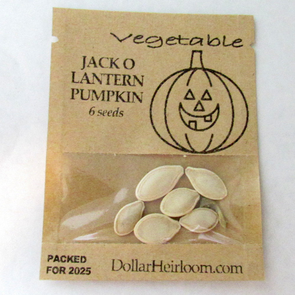 Pumpkin – Jack O Lantern (6 Seeds)