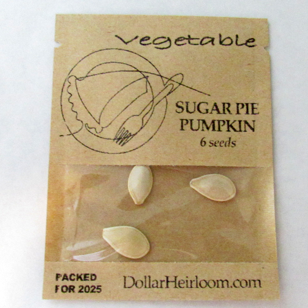 Pumpkin – Sugar Pie (6 Seeds)