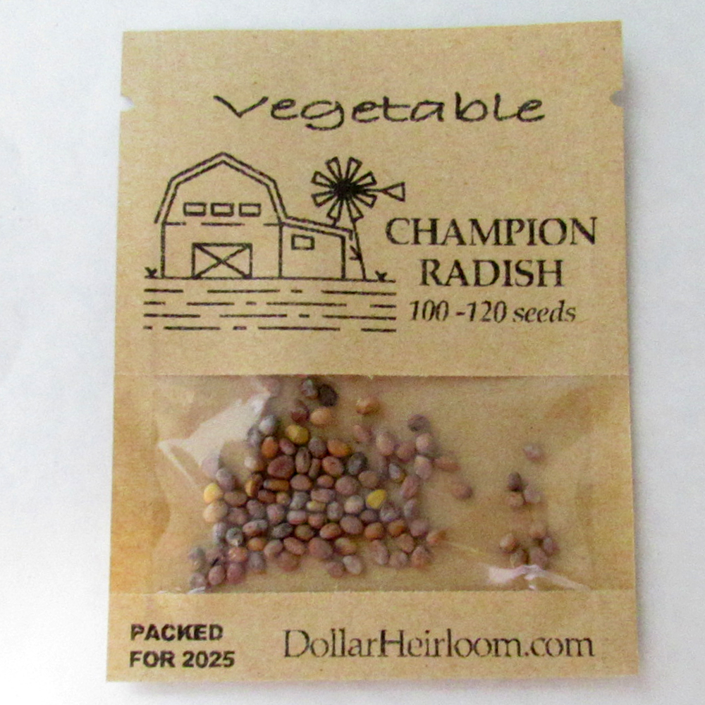 Radish – Champion (100-120 Seeds)