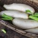 Radish - Daikon Minowase (20-30 Seeds)