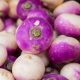 Rutabaga - American Purple Top (60-80 Seeds)